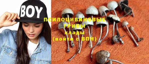 метадон Белоозёрский