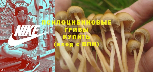 героин Белокуриха
