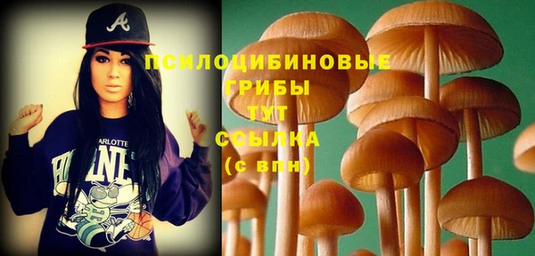 бошки Беломорск