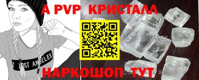 скорость Кузнецк
