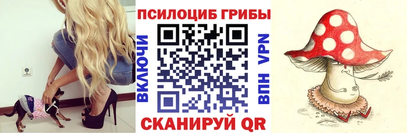 Псилоцибиновые грибы Psilocybe  Дальнегорск 