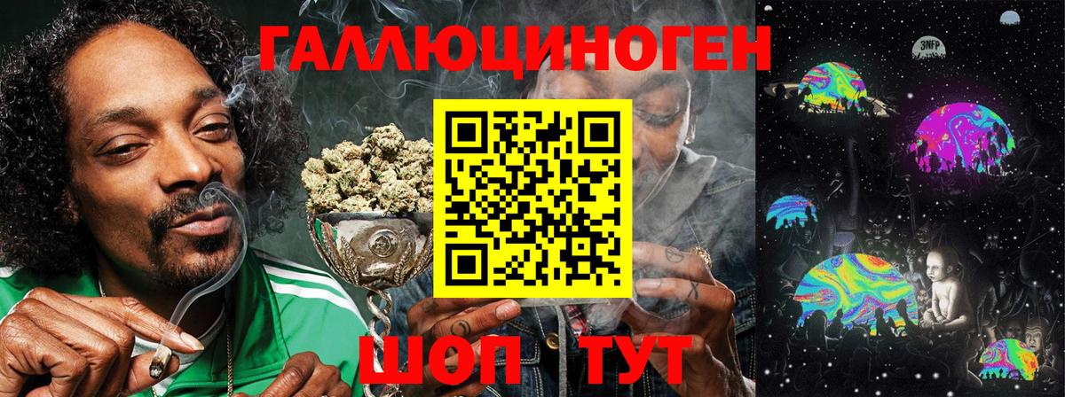 Дальнегорск  Псилоцибиновые грибы мухоморы  Вход с VPN 