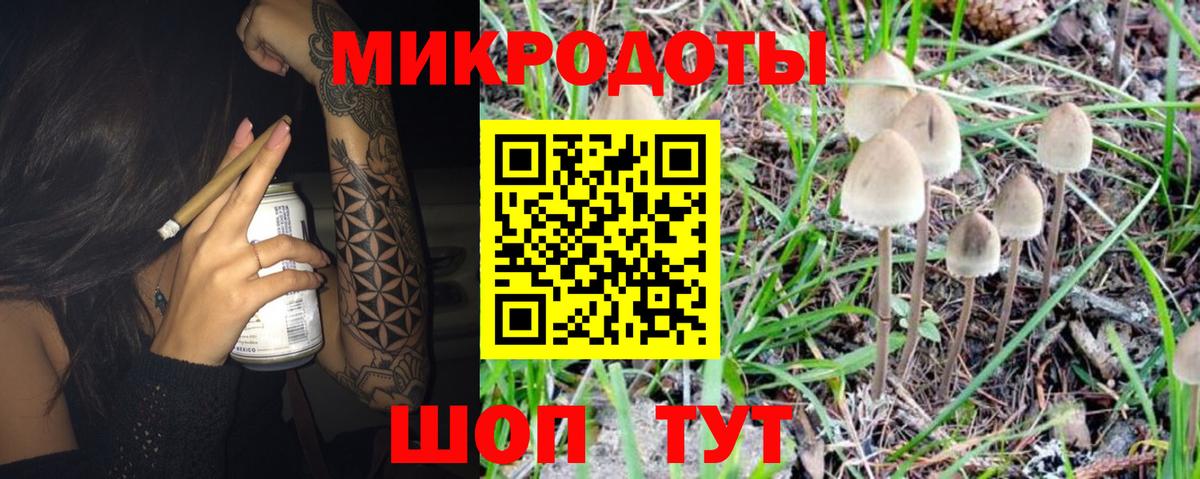 Галлюциногенные грибы Psilocybine cubensis Дальнегорск